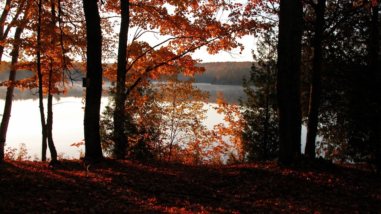 Photo of Outdoor in Highlands East