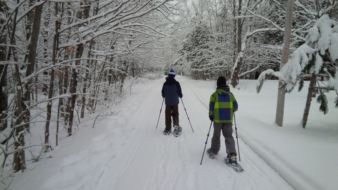 Photo of Others in McKellar