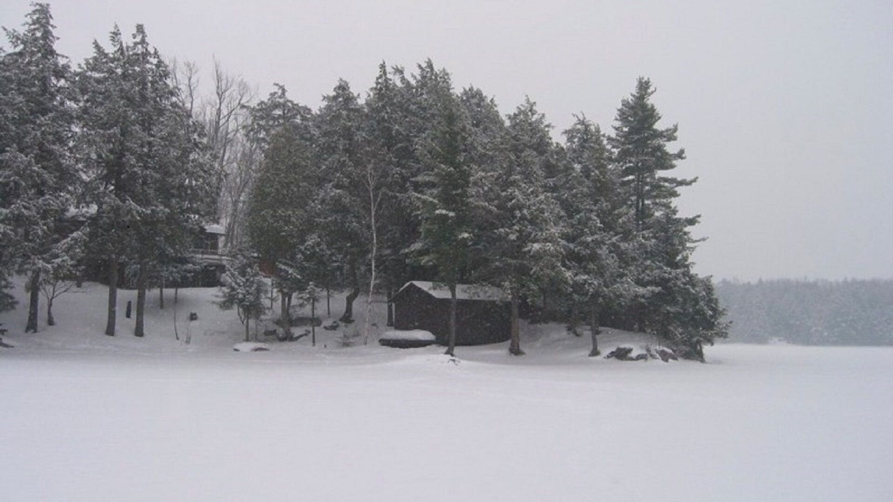 Photo of Outdoor in McKellar
