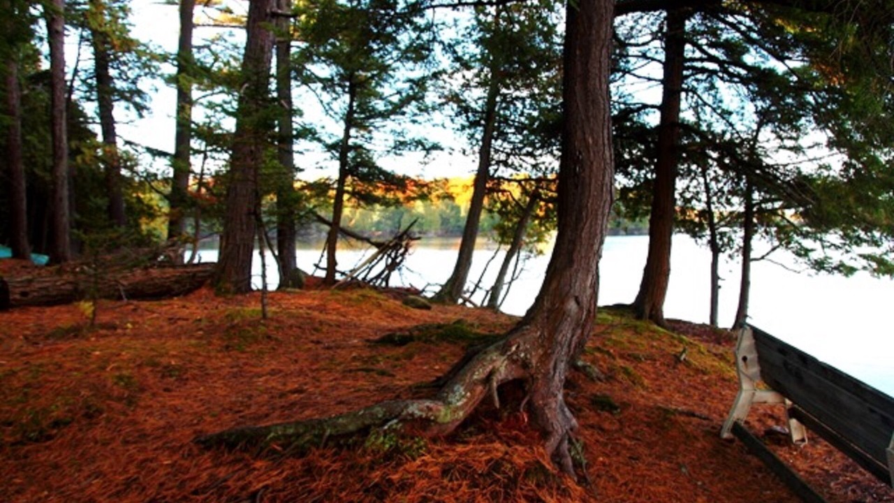 Photo of Outdoor in McKellar