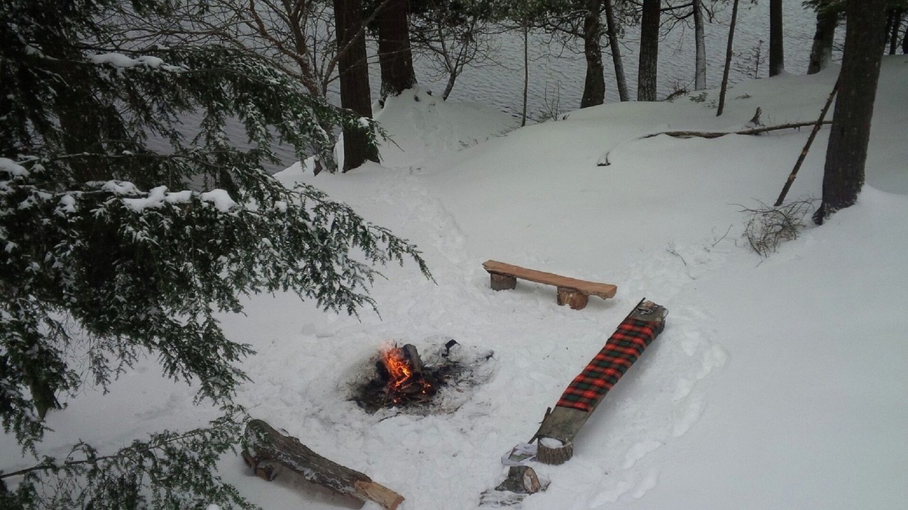 Photo of Others in McKellar