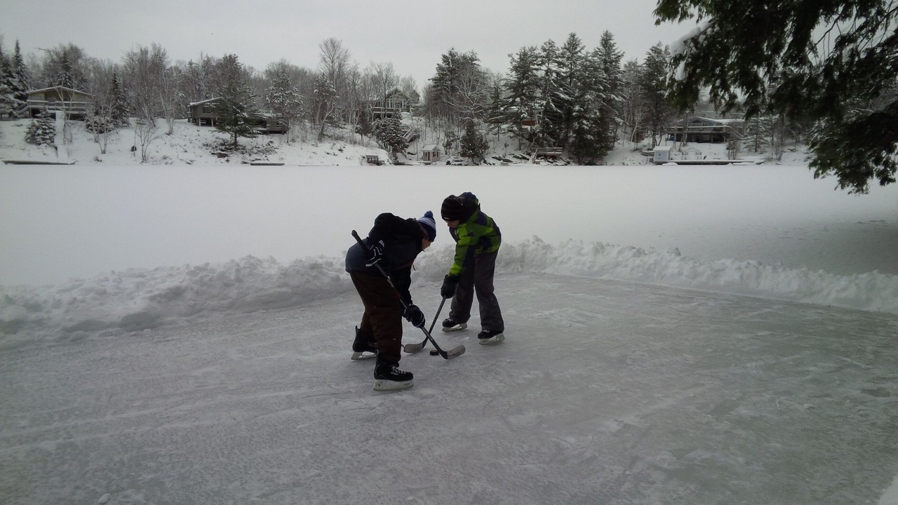 Photo of Others in McKellar