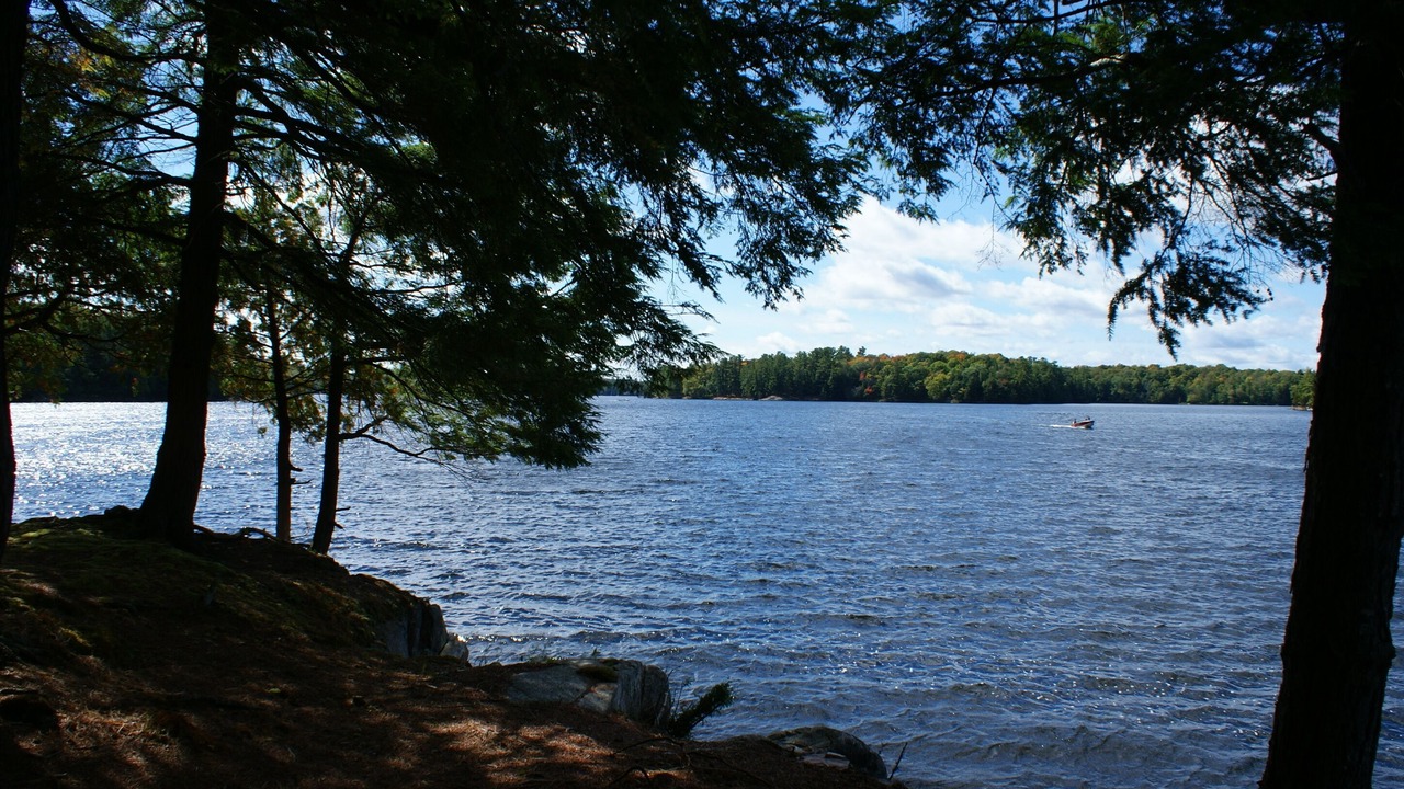 Photo of Others in McKellar