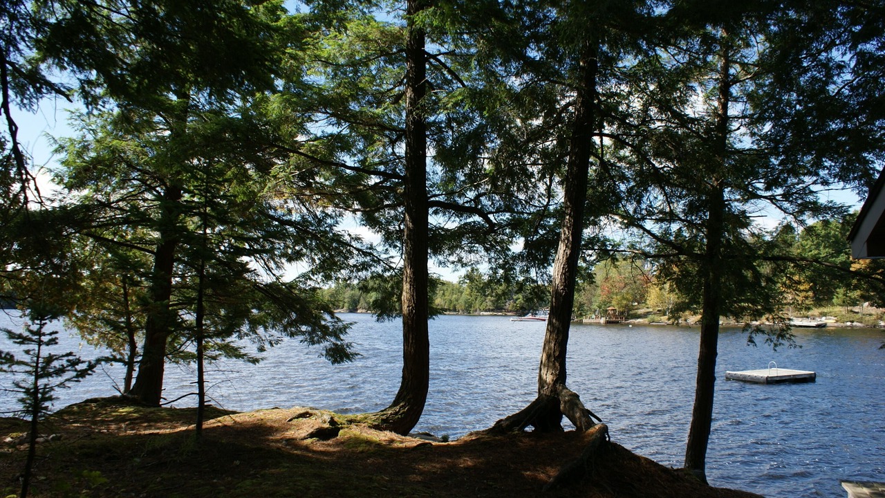 Photo of Outdoor in McKellar