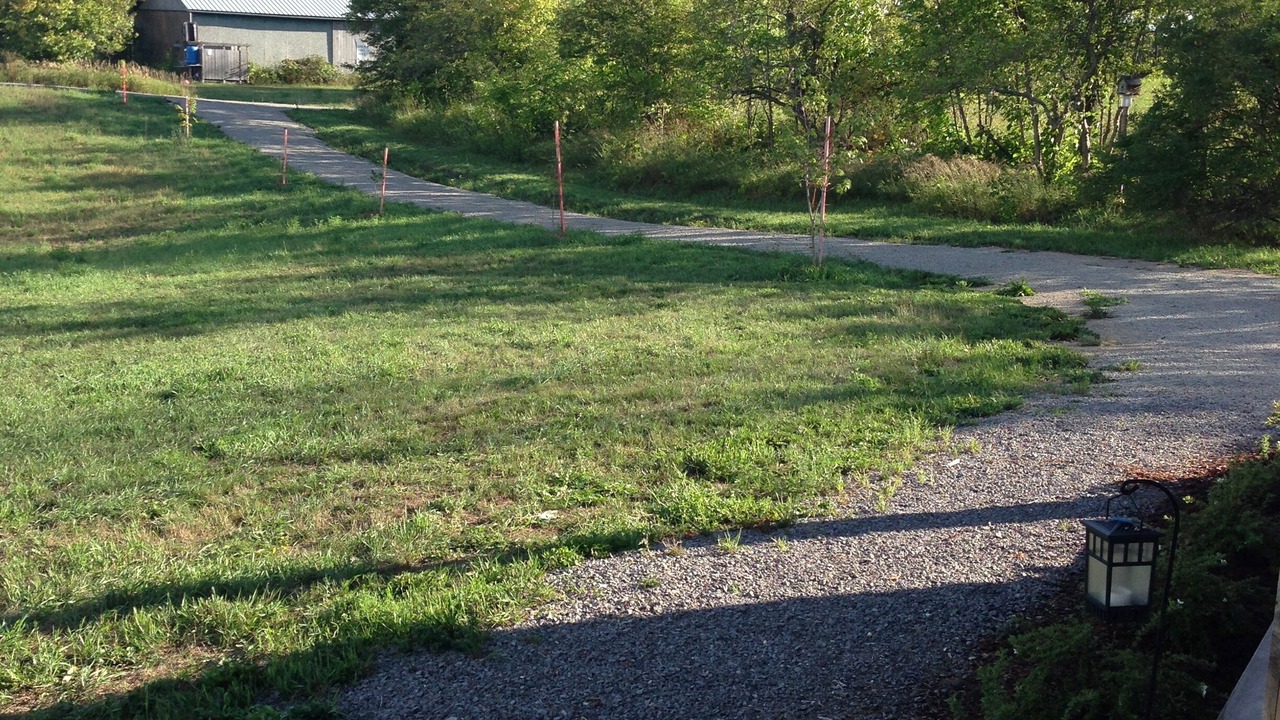 Photo of Outdoor in Madoc