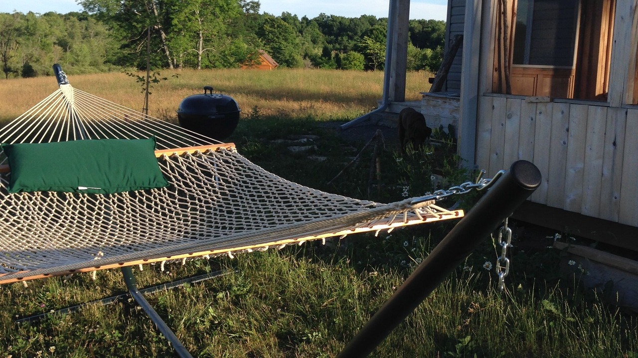 Photo of Outdoor in Madoc