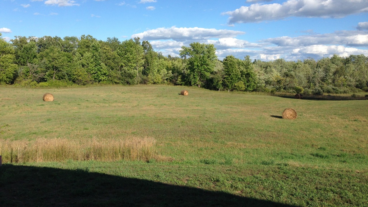 Photo of Others in Madoc