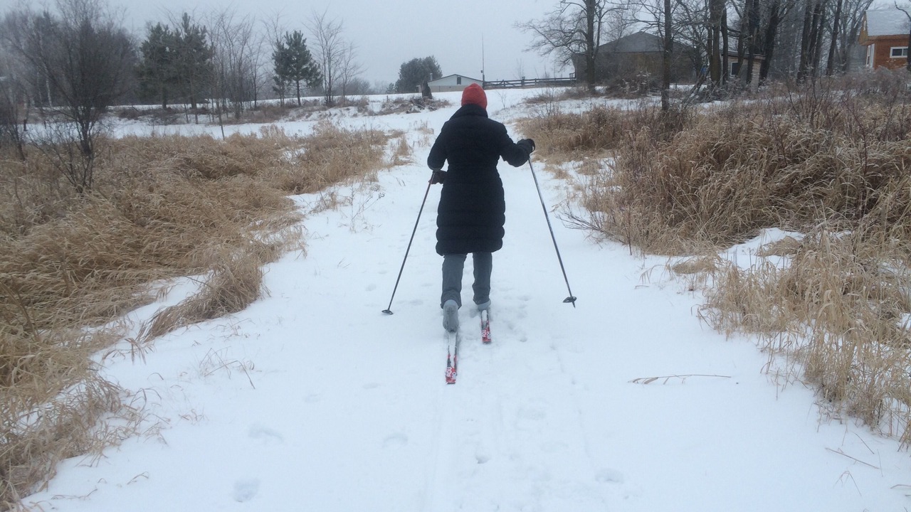 Photo of Others in Madoc
