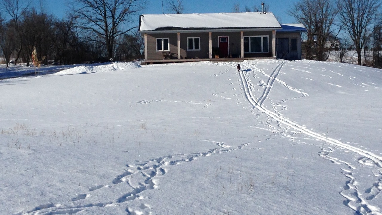 Photo of Outdoor in Madoc