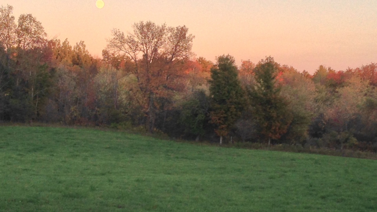 Photo of Outdoor in Madoc