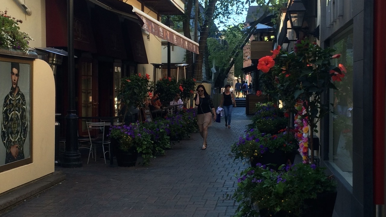Photo of Others in Yorkville