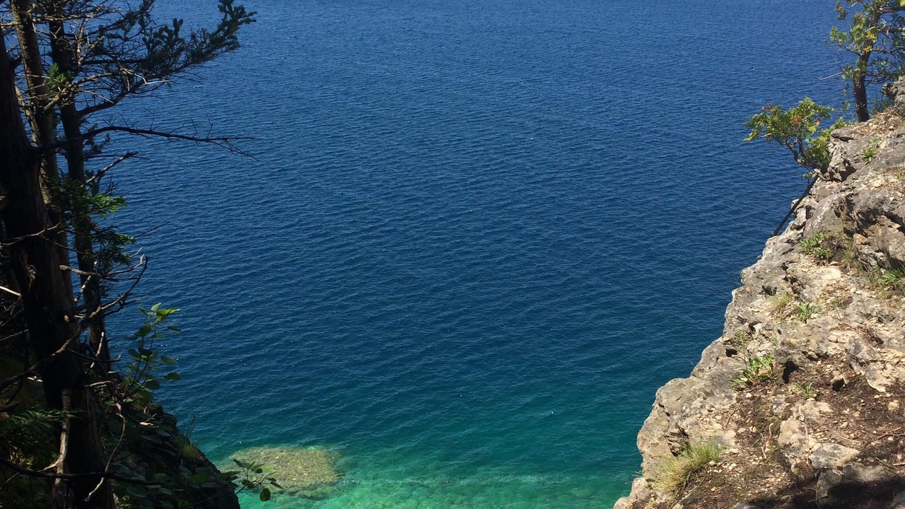Photo of Others in Lion's Head