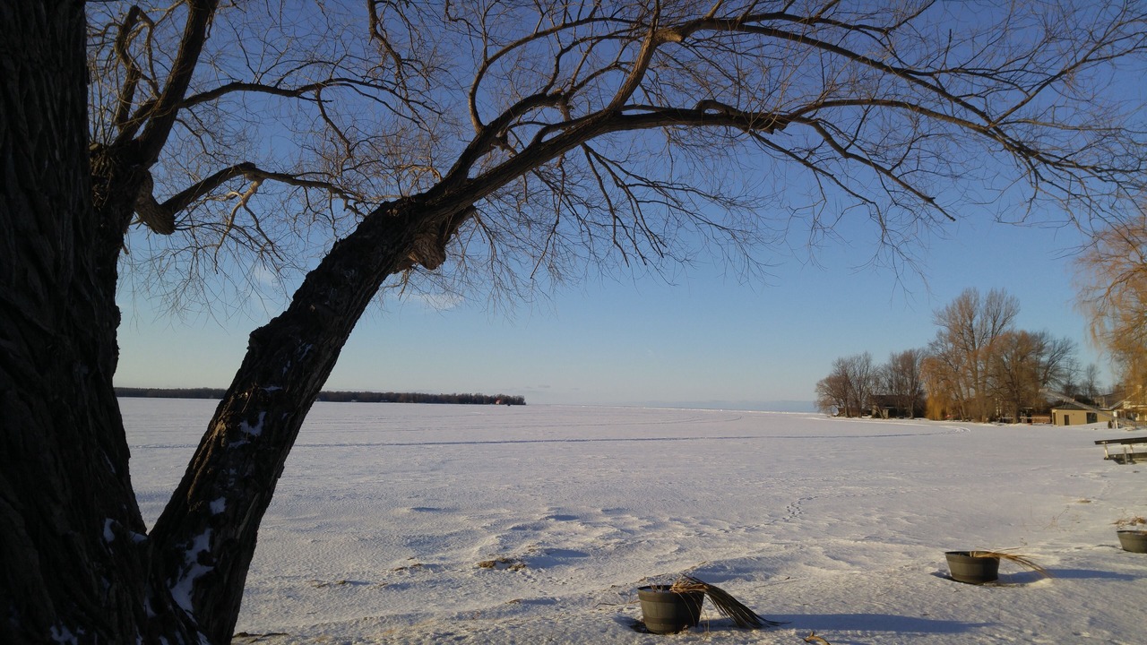 Photo of Outdoor in Duclos Point