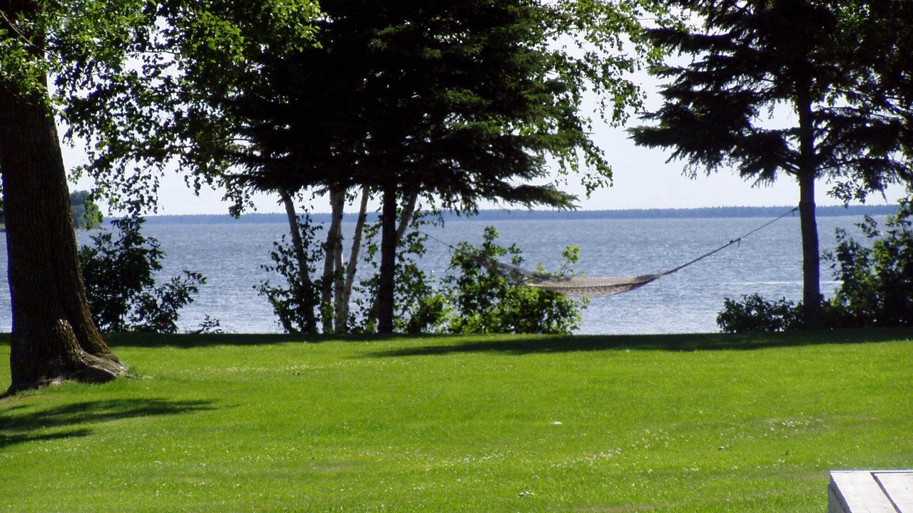 Photo of Others in Lake of the Woods County