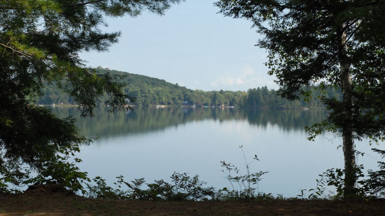 Photo of Outdoor in Baysville
