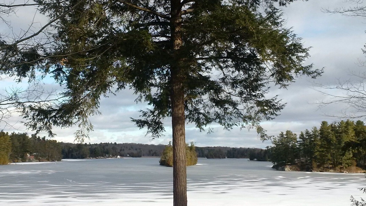 Photo of Others in Leeds and the Thousand Islands