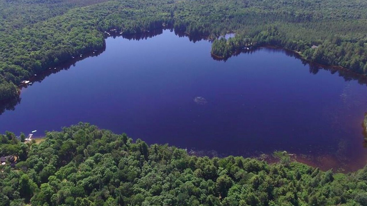 Photo of Outdoor in Novar
