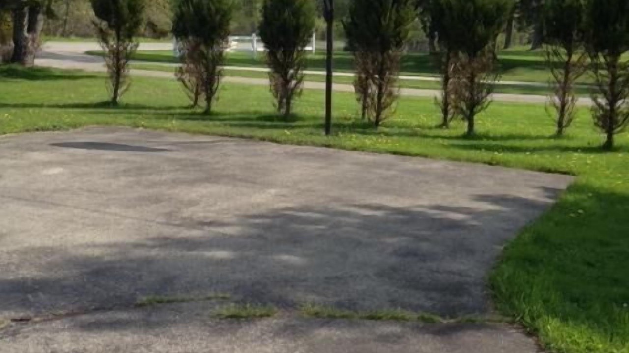 Photo of Others in Fort Erie