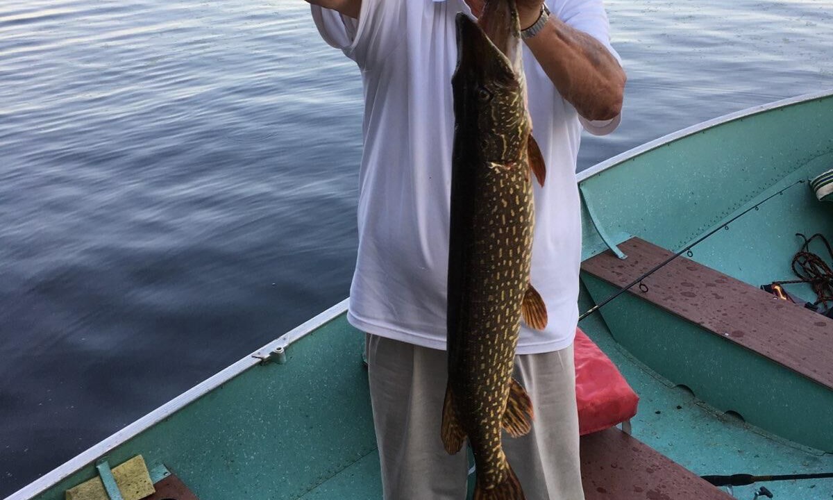 Photo of Outdoor in South Haven