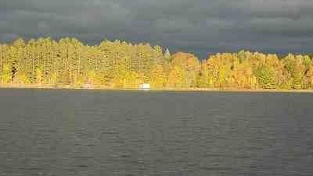 Photo of Others in Moose Lake