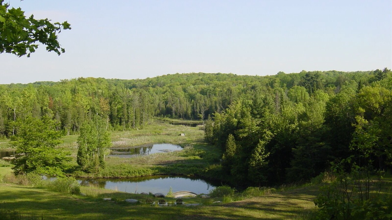 Photo of Others in Durham Region
