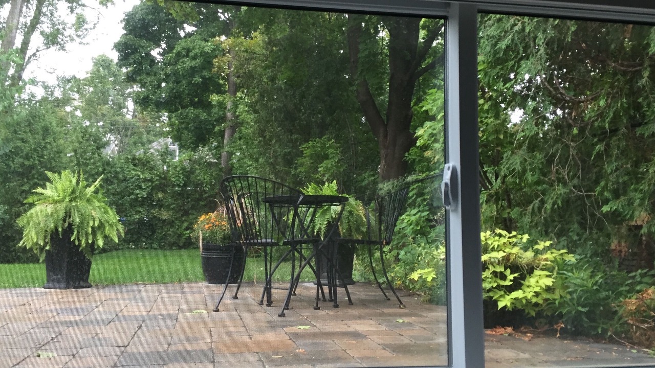 Photo of Others in East York