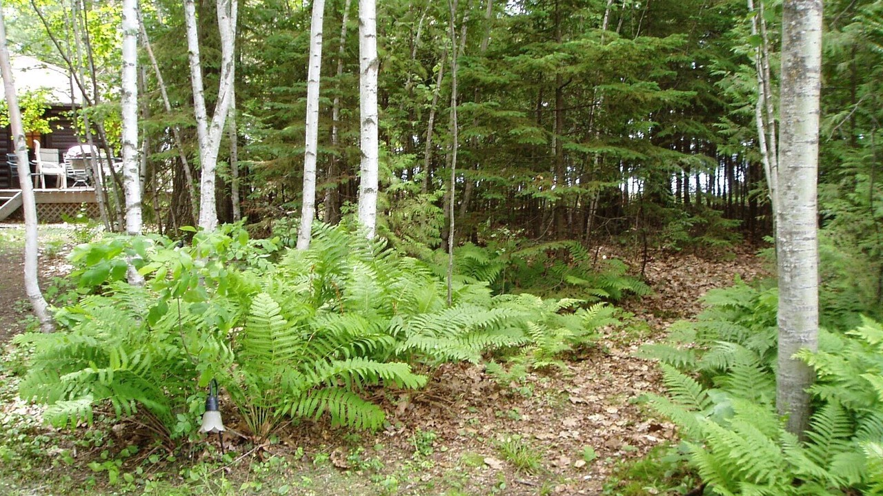 Photo of Others in McGregor