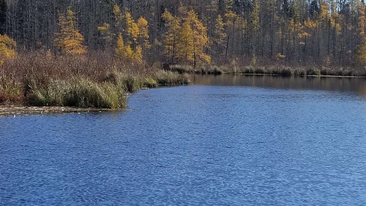 Photo of Outdoor in McGregor