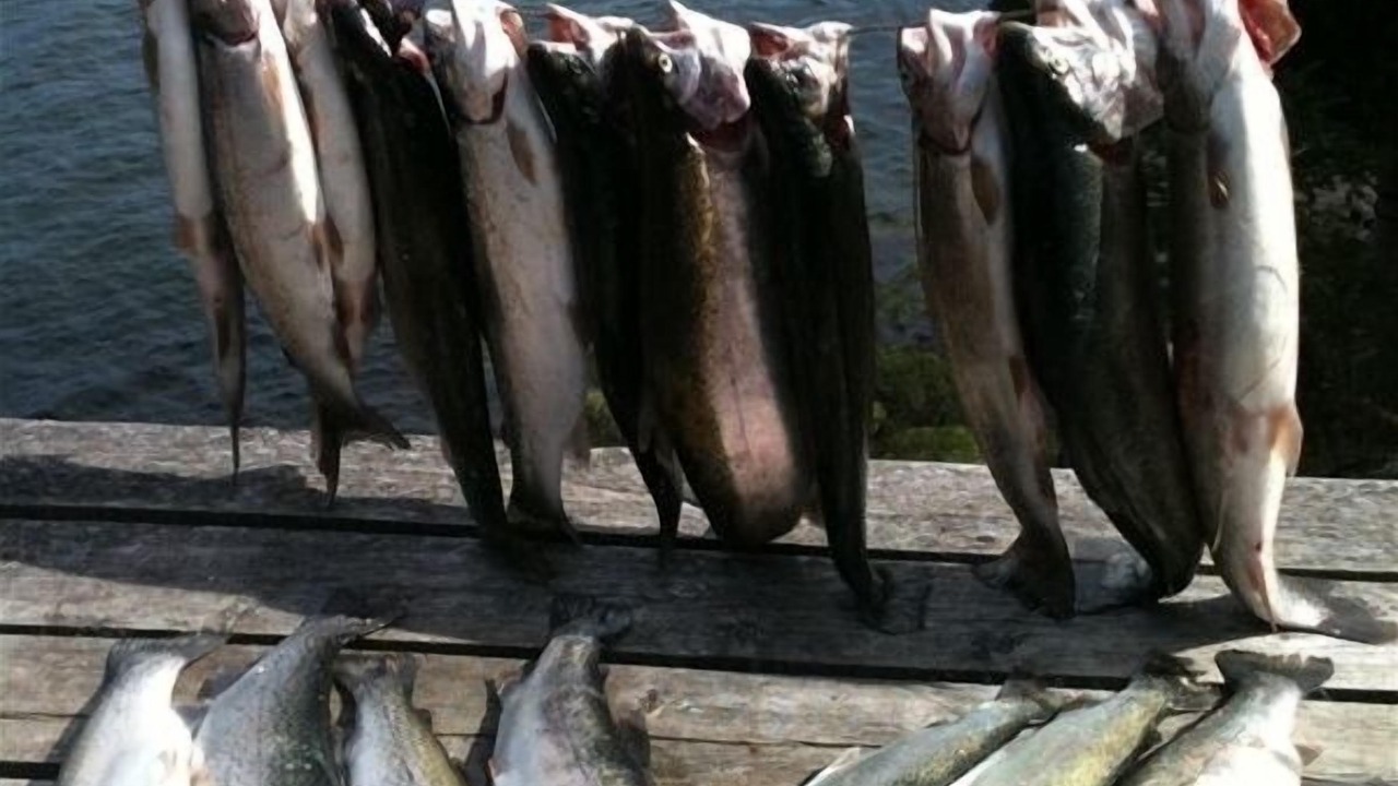 Photo of Others in Manitoulin District