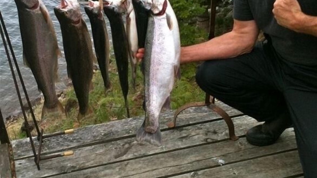 Photo of Outdoor in Manitoulin District