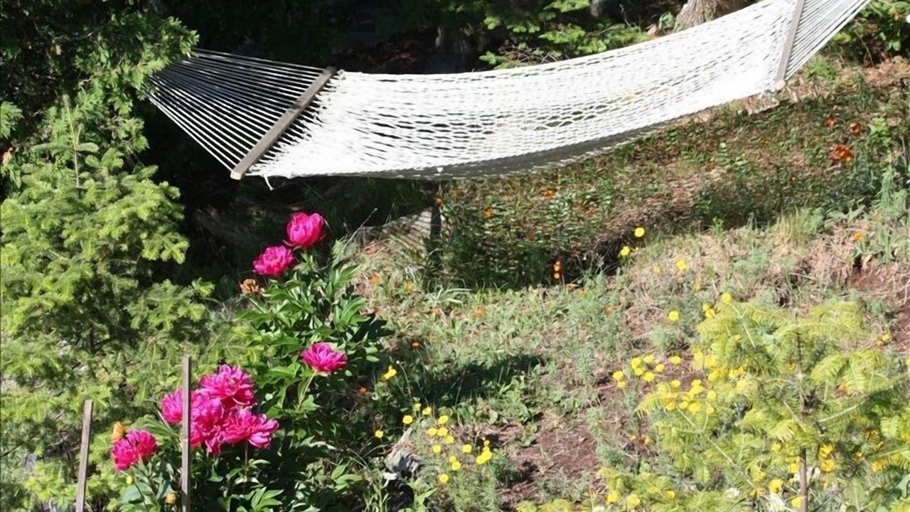 Photo of Outdoor in Manitoulin District