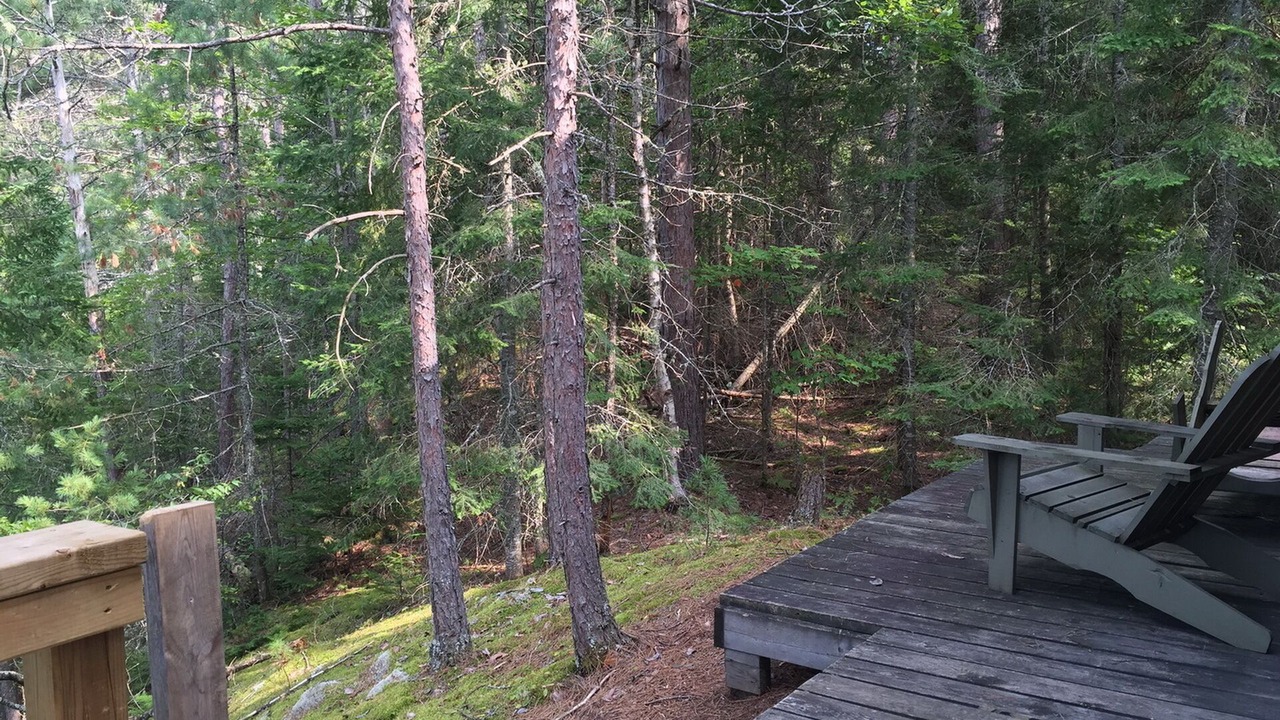Photo of Others in Addington Highlands