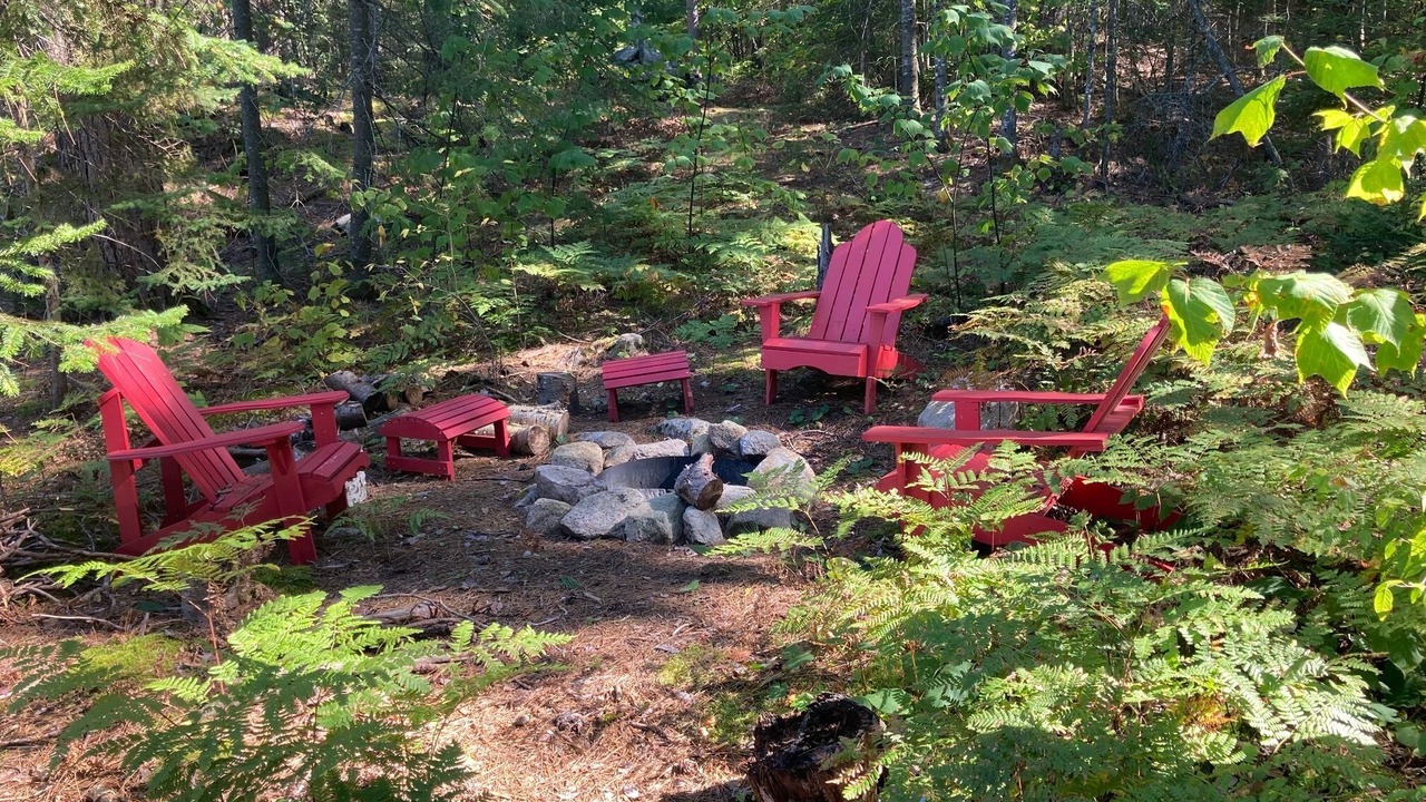 Photo of Others in Addington Highlands
