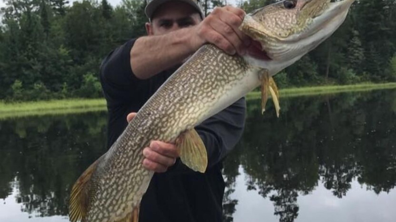 Photo of Others in Ash River