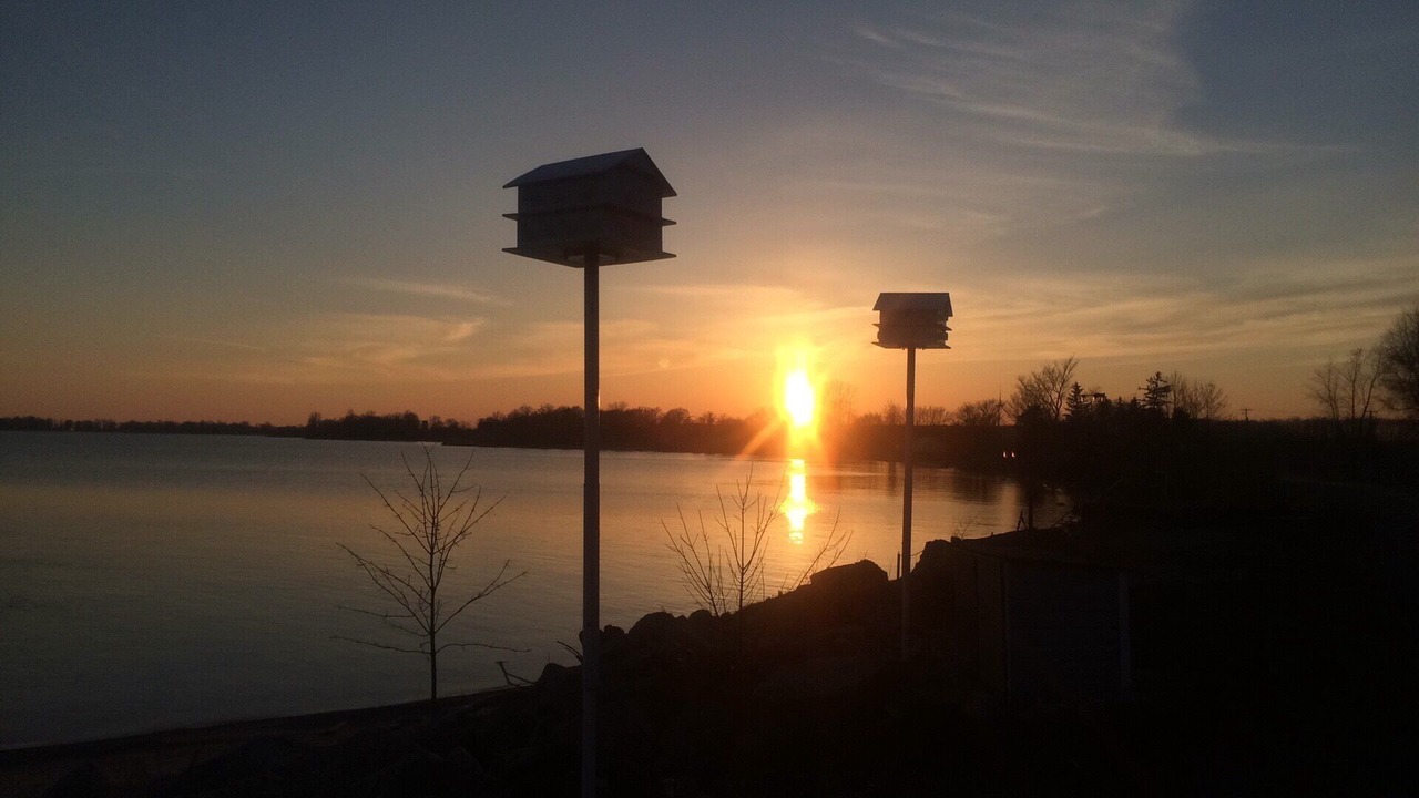 Photo of Outdoor in Hamilton