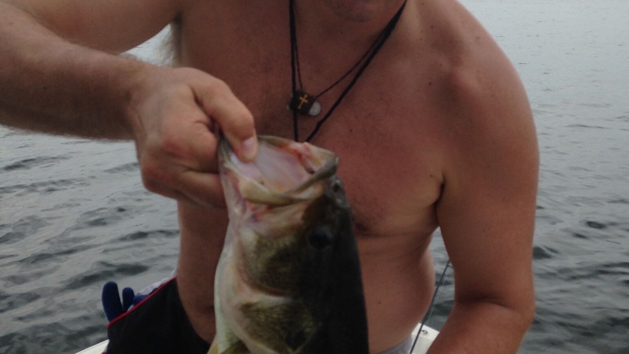 Photo of Others in Pine River