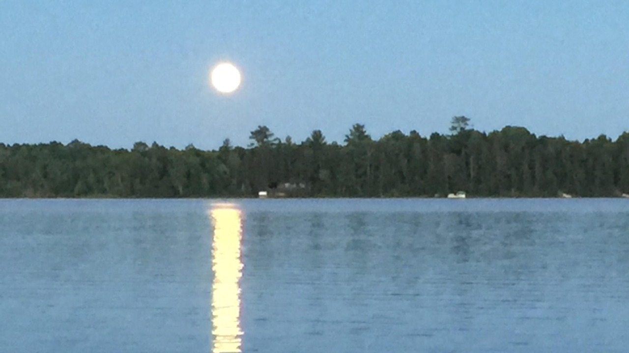 Photo of Outdoor in Pine River