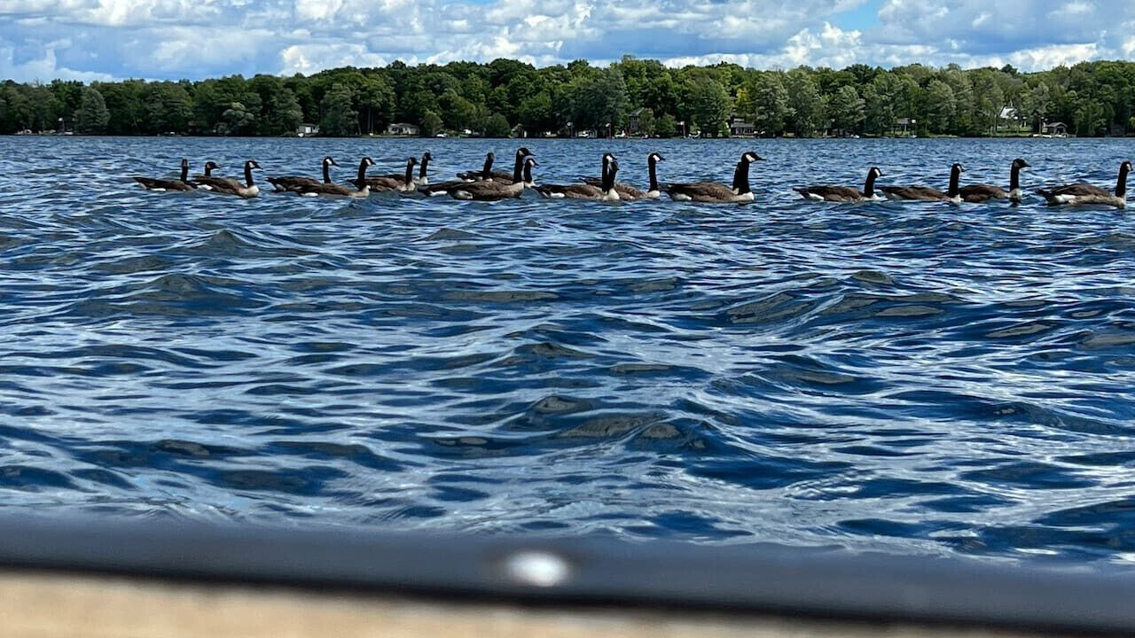 Photo of Others in Rideau Lakes