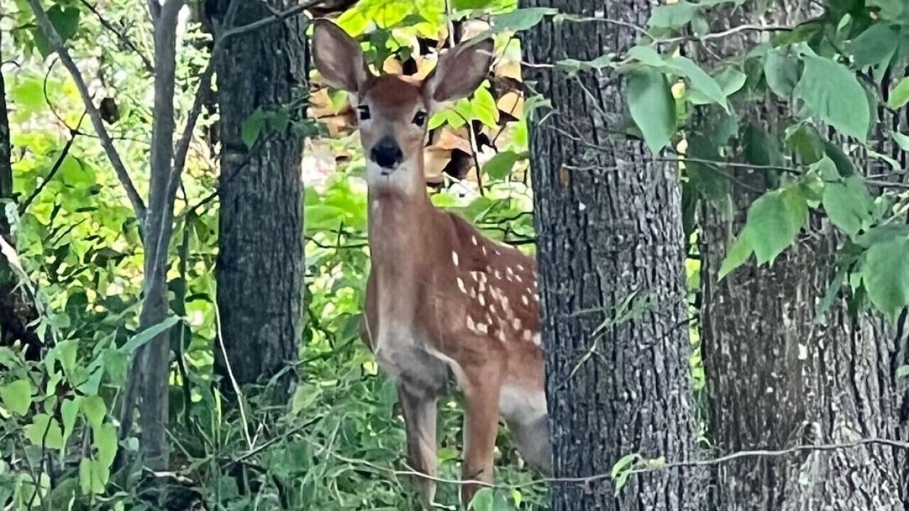 Photo of Others in Rideau Lakes