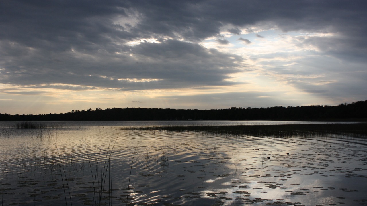 Photo of Others in Ponsford