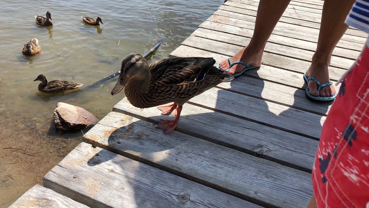 Photo of Outdoor in Keewatin