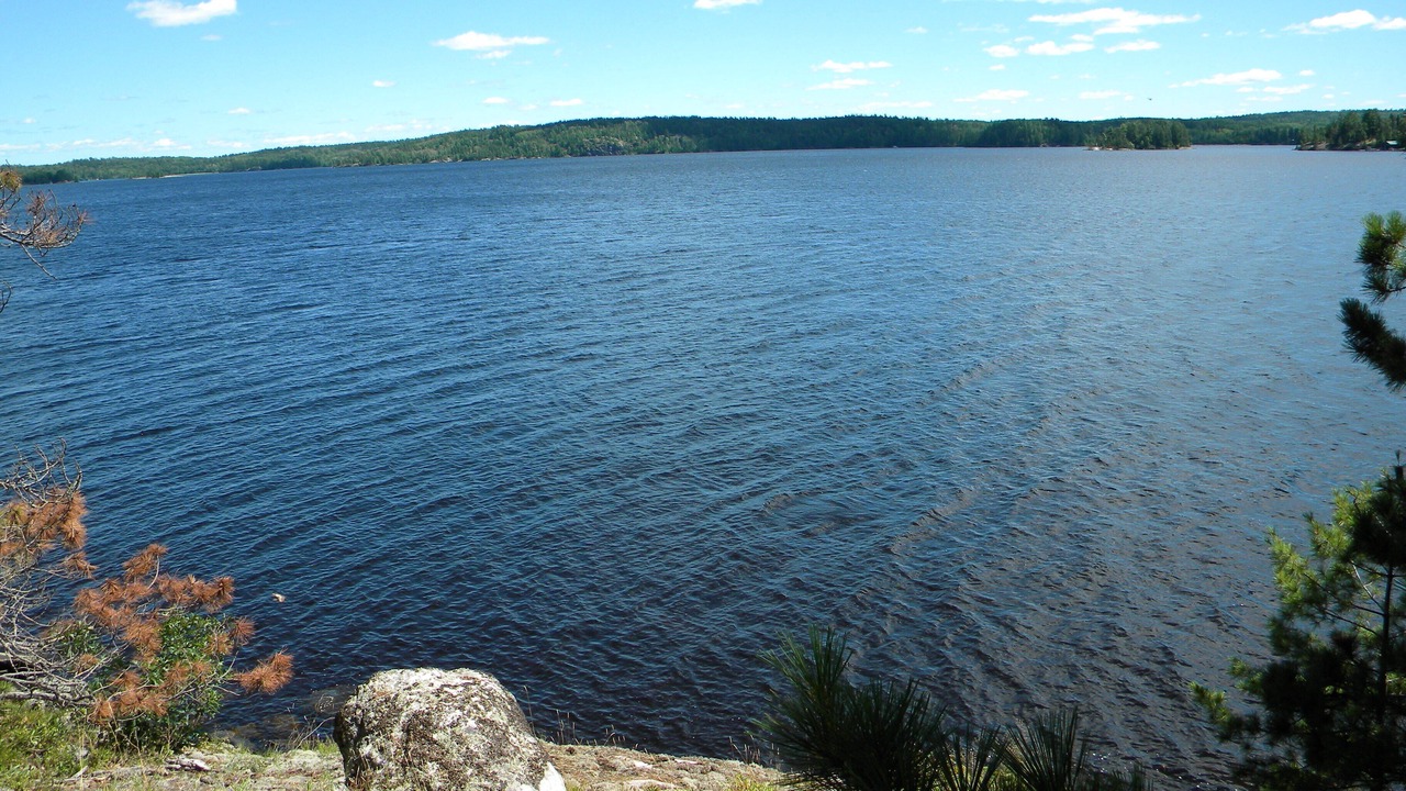 Photo of Others in Crane Lake