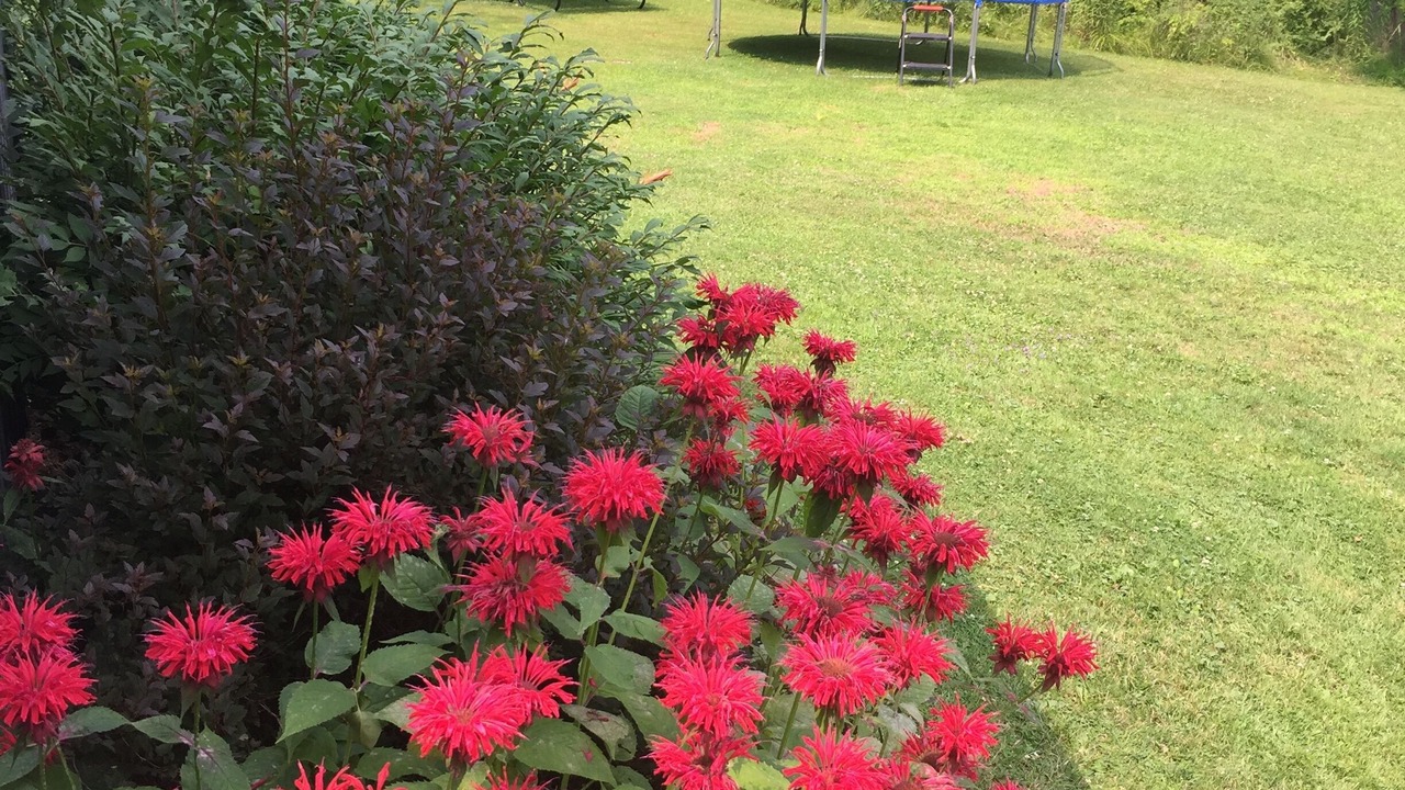 Photo of Outdoor in Arden