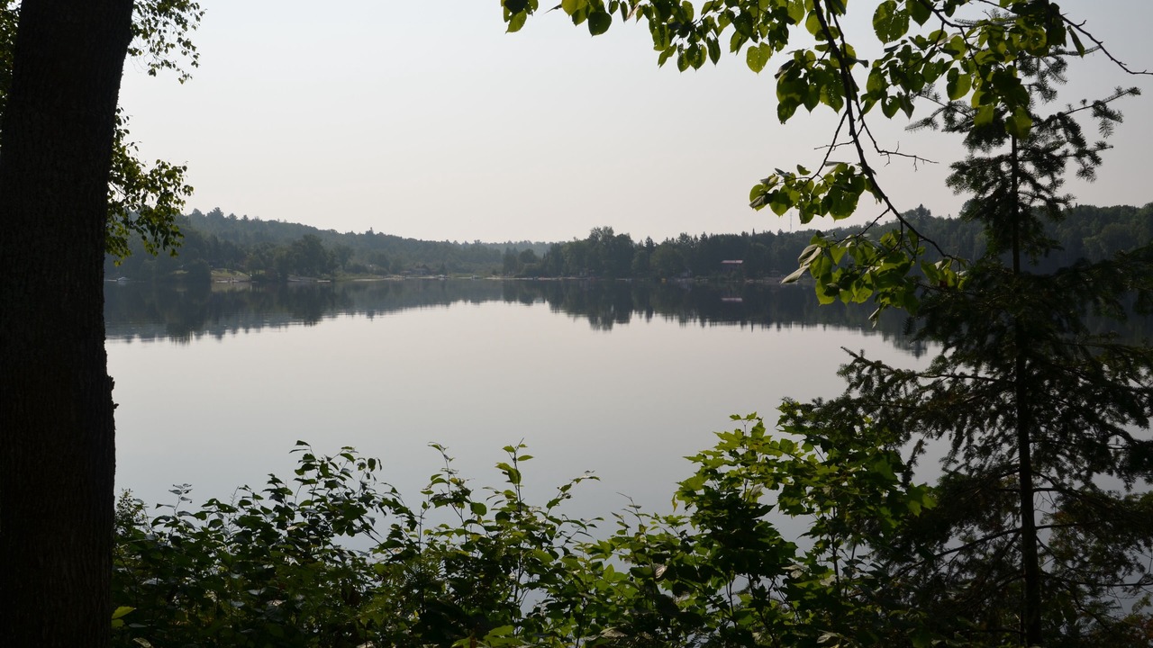 Photo of Others in Magnetawan