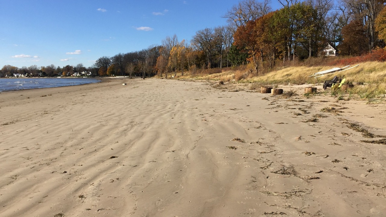 Photo of Others in Waverly Beach