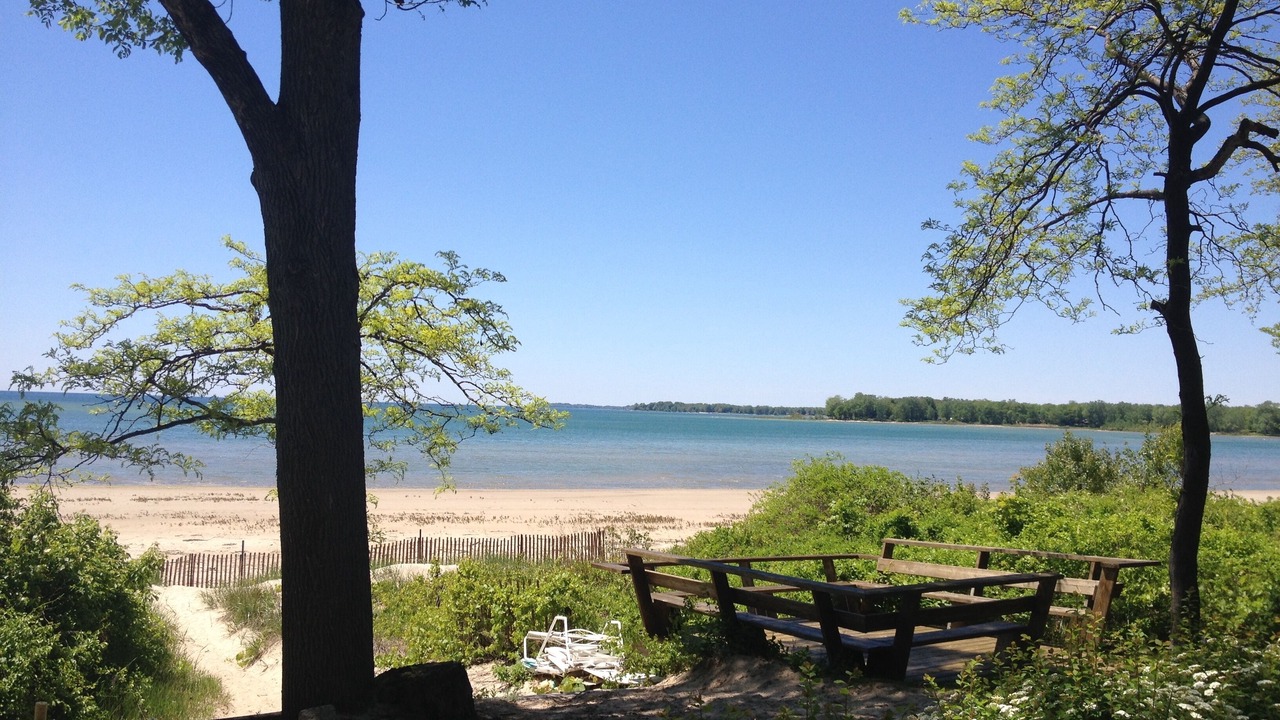 Photo of Outdoor in Waverly Beach