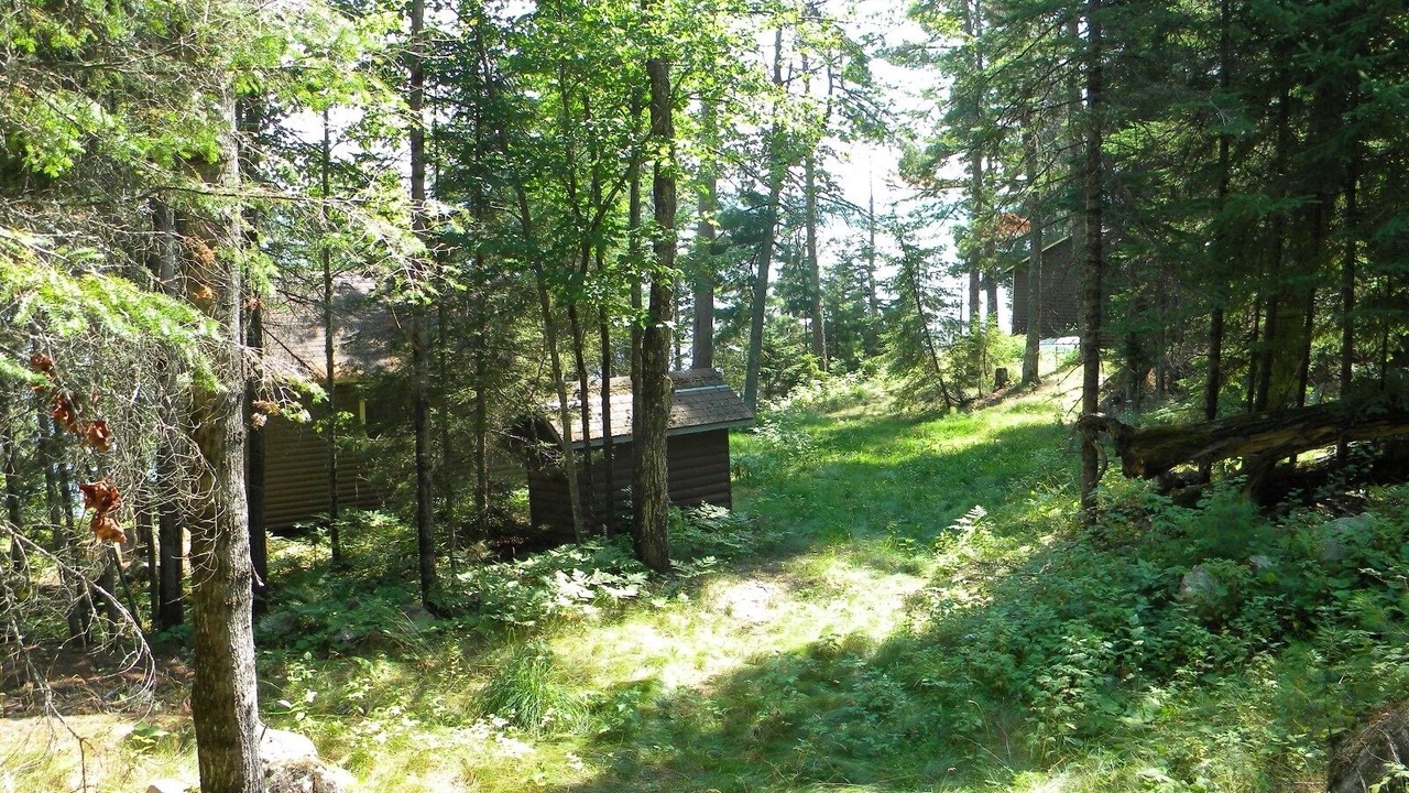 Photo of Outdoor in Crane Lake