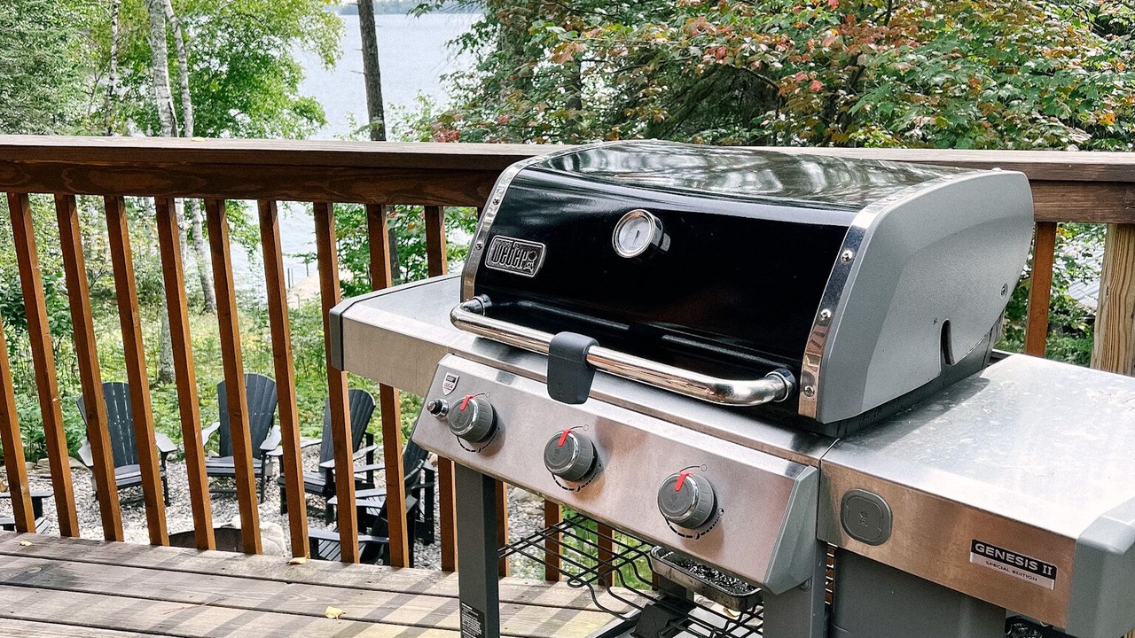 Photo of Outdoor in Cook
