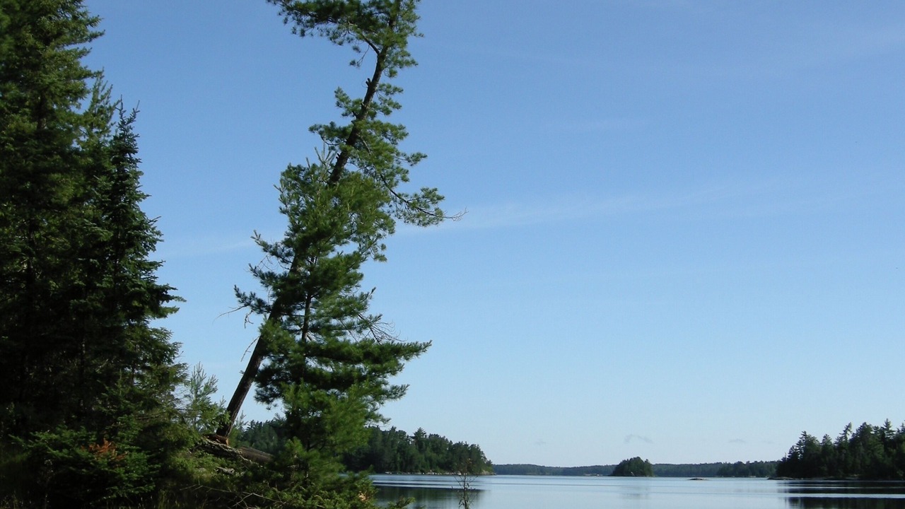 Photo of Outdoor in Crane Lake