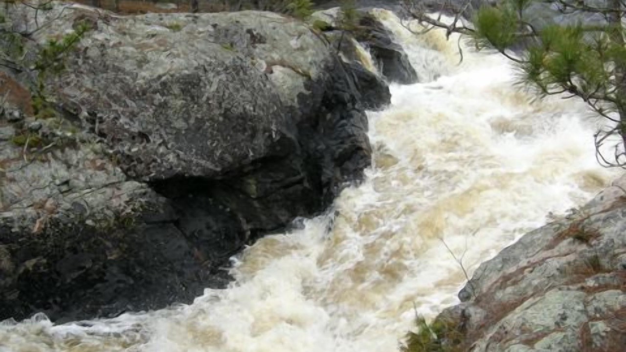 Photo of Others in Crane Lake